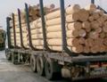 Перевозка леса в Челябинске